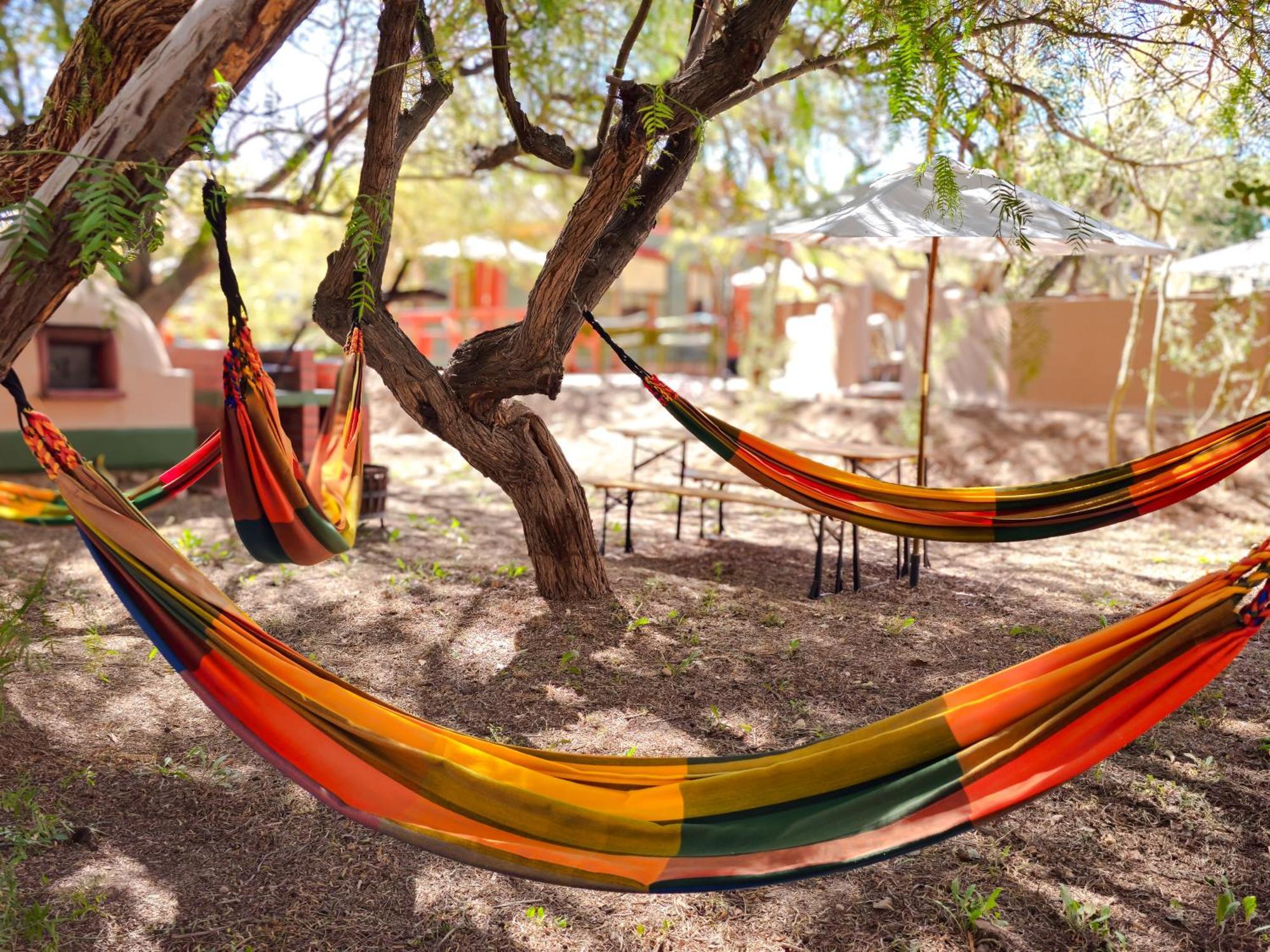 Lodge Ancar Atacama Σαν Πέδρο ντε Ατακάμα Εξωτερικό φωτογραφία