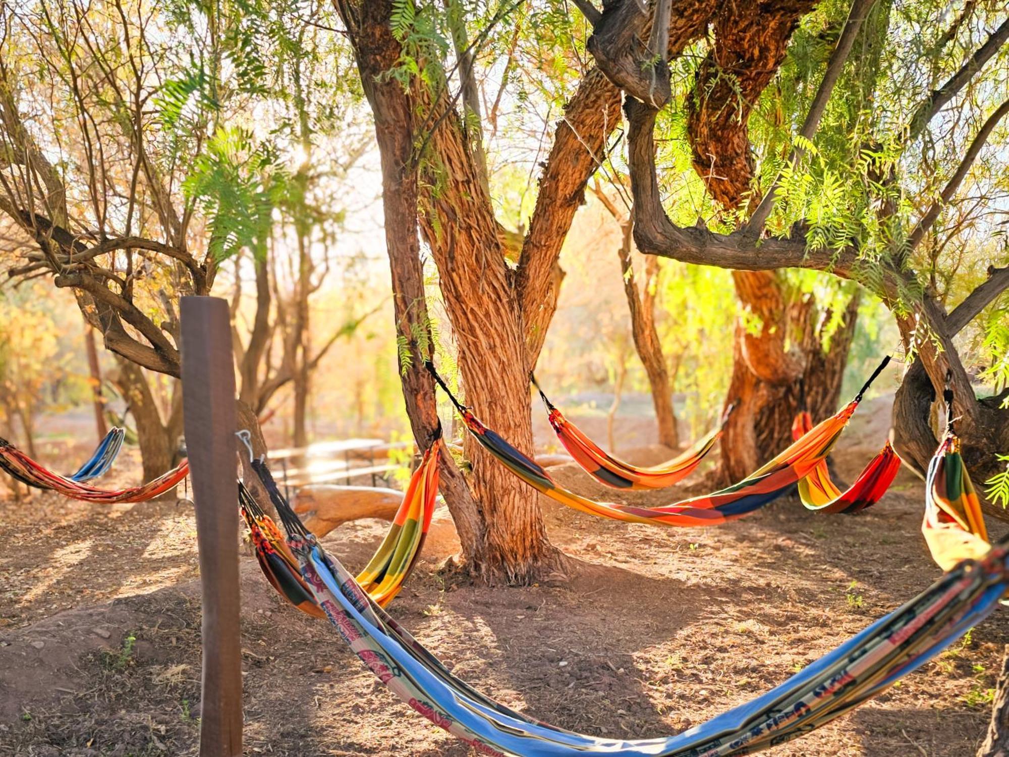 Lodge Ancar Atacama Σαν Πέδρο ντε Ατακάμα Εξωτερικό φωτογραφία