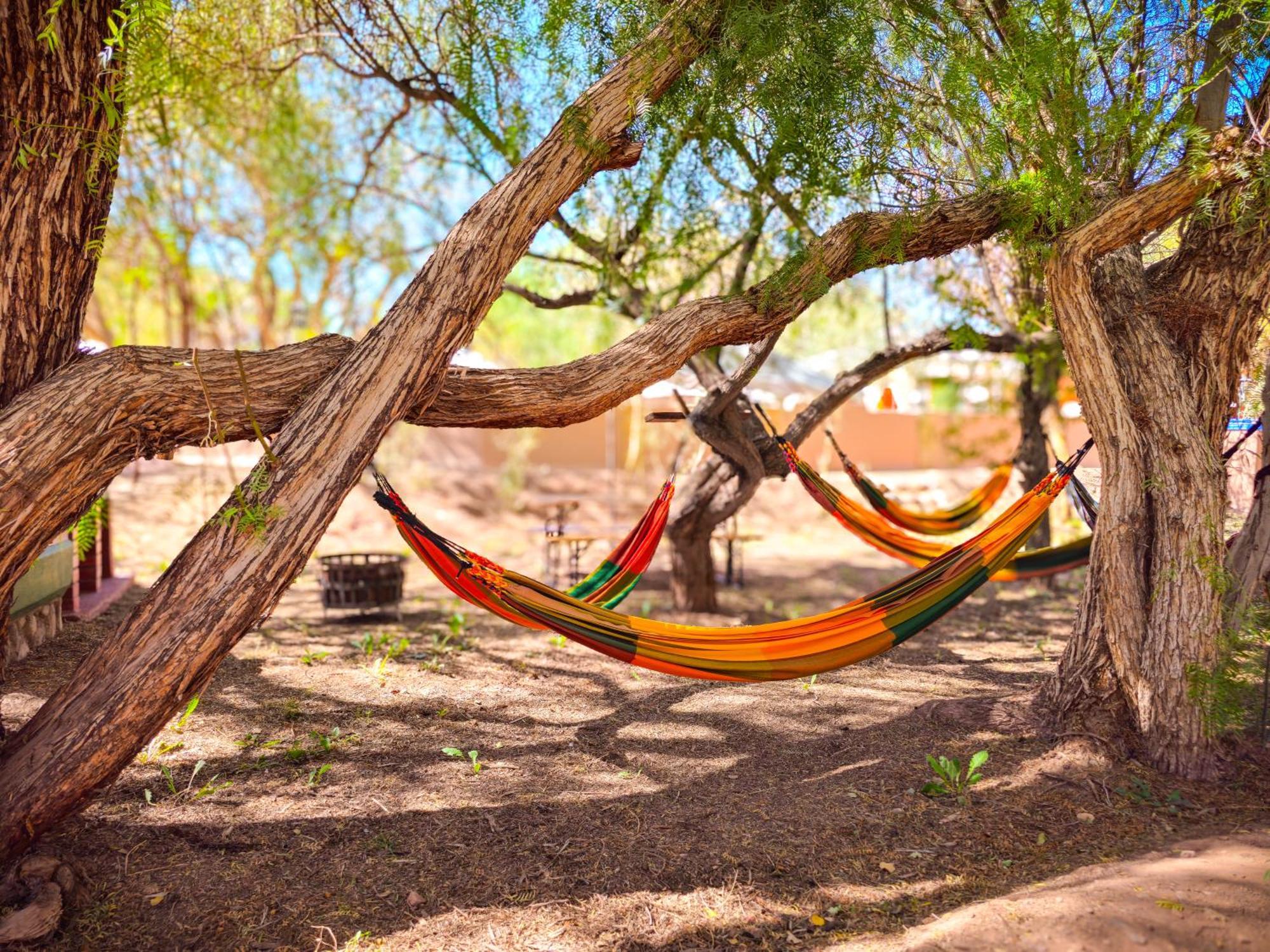 Lodge Ancar Atacama Σαν Πέδρο ντε Ατακάμα Εξωτερικό φωτογραφία